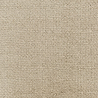 THREADS ED85251.170.0 CAMI CHAMPAGNE Fabric - Eade's Wallpaper