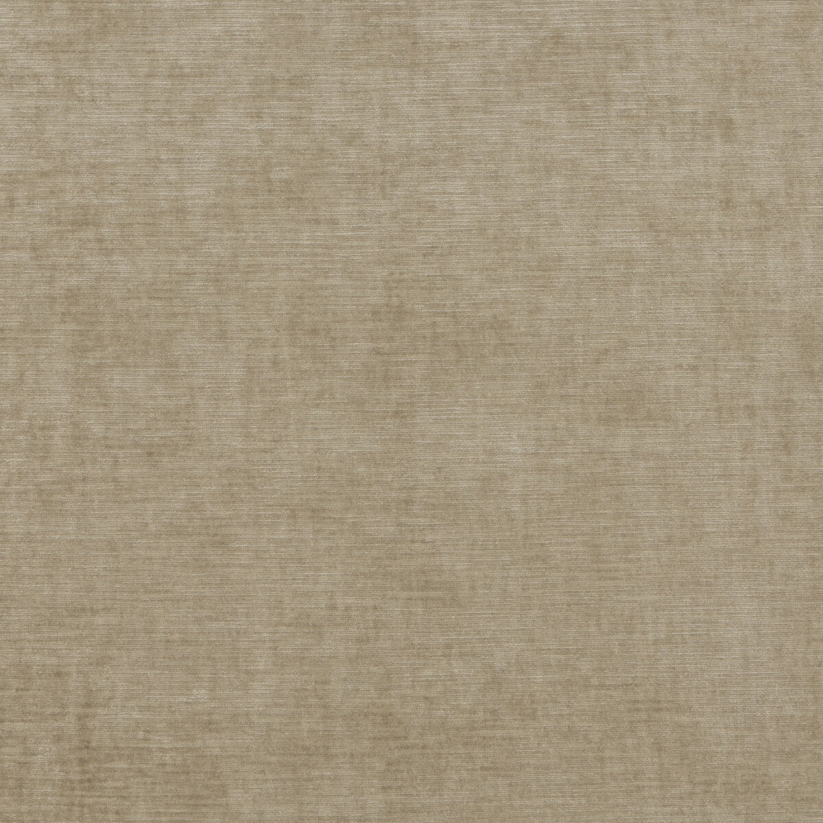 THREADS ED85292.230.0 MERIDIAN VELVET OATMEAL Fabric - Eade's Wallpaper