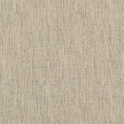 THREADS ED85317.985.0 STIPPLE CHARCOAL Fabric - Eade's Wallpaper