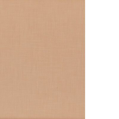 THREADS INFINITY ED85416.148.0 in PUMICE Fabric - WINCH INDO
