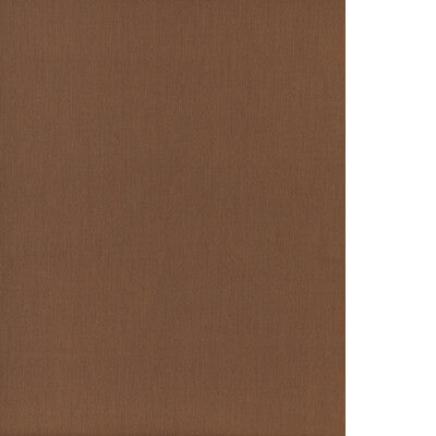 THREADS CLARITY ED85417.290.0 in COCOA Fabric - WINCH INDOOR