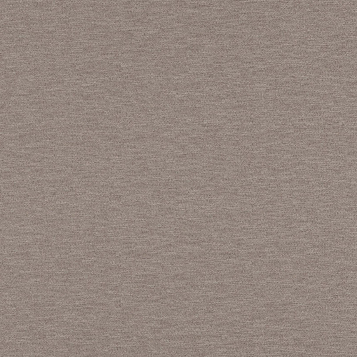 Eade’s # 09 CHINCHILLA