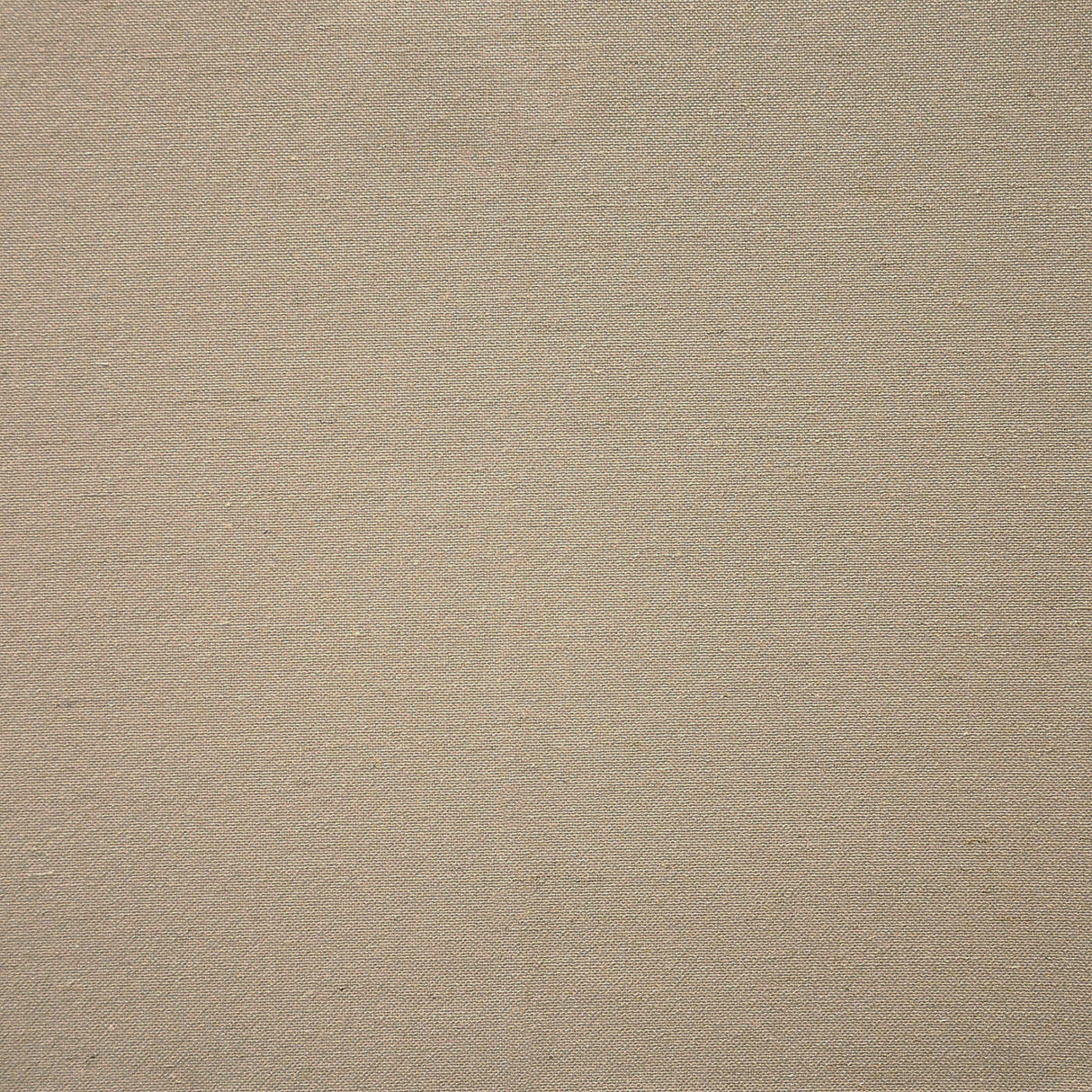 Eade’s # 304 SPARROW