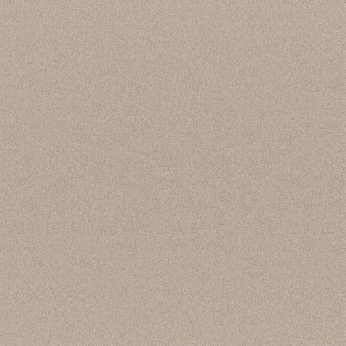 Eade’s # 305 EARTH