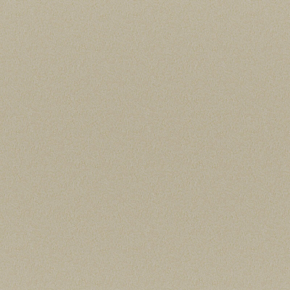 Eade’s # 312 SPONGE