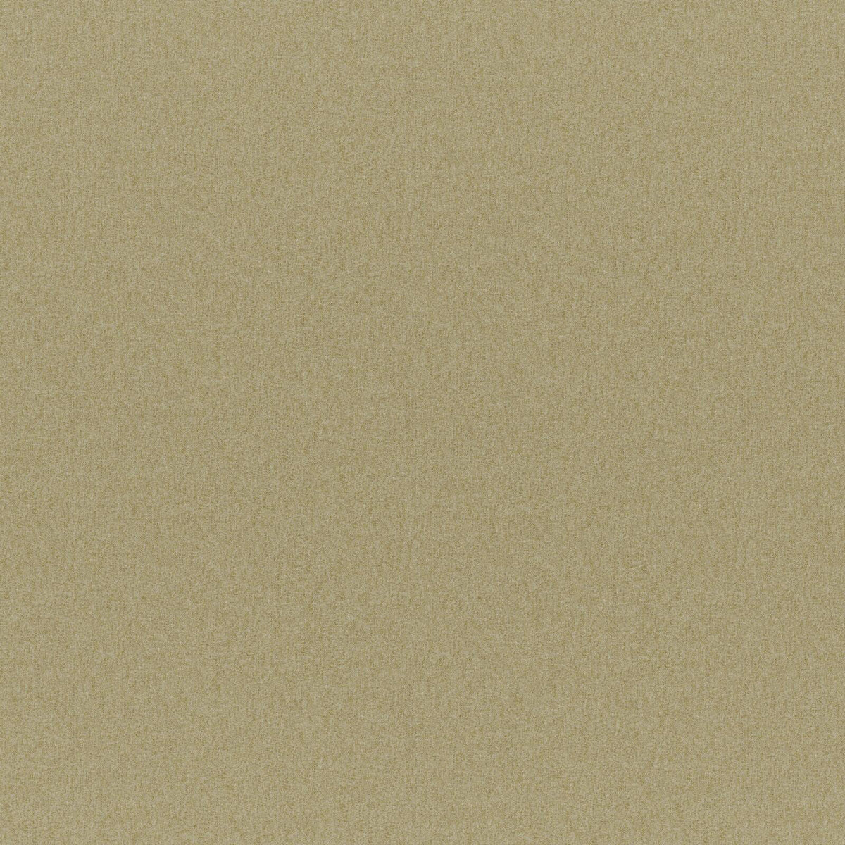 Eade’s # 313 SWAMP