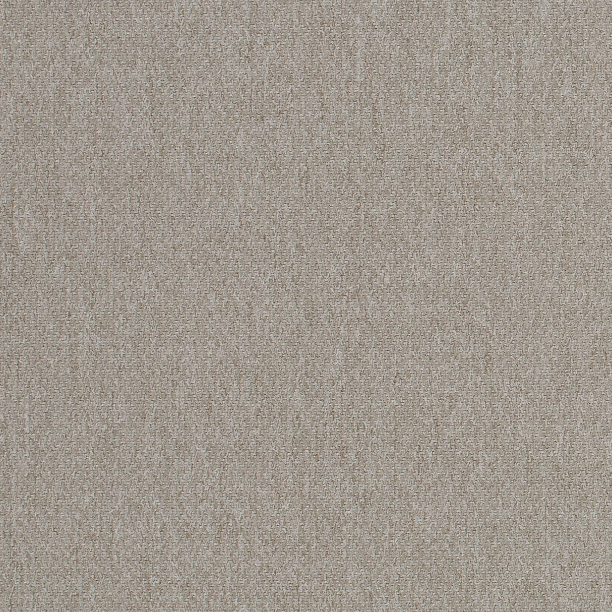 Mitchell MB FF-2307-10 Solid Adept-Mushroom - Eade's Wallpaper