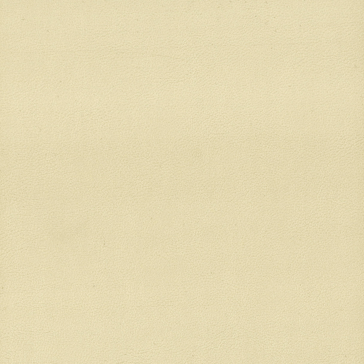 Eade's ELBE-1-sample PARCHMENT