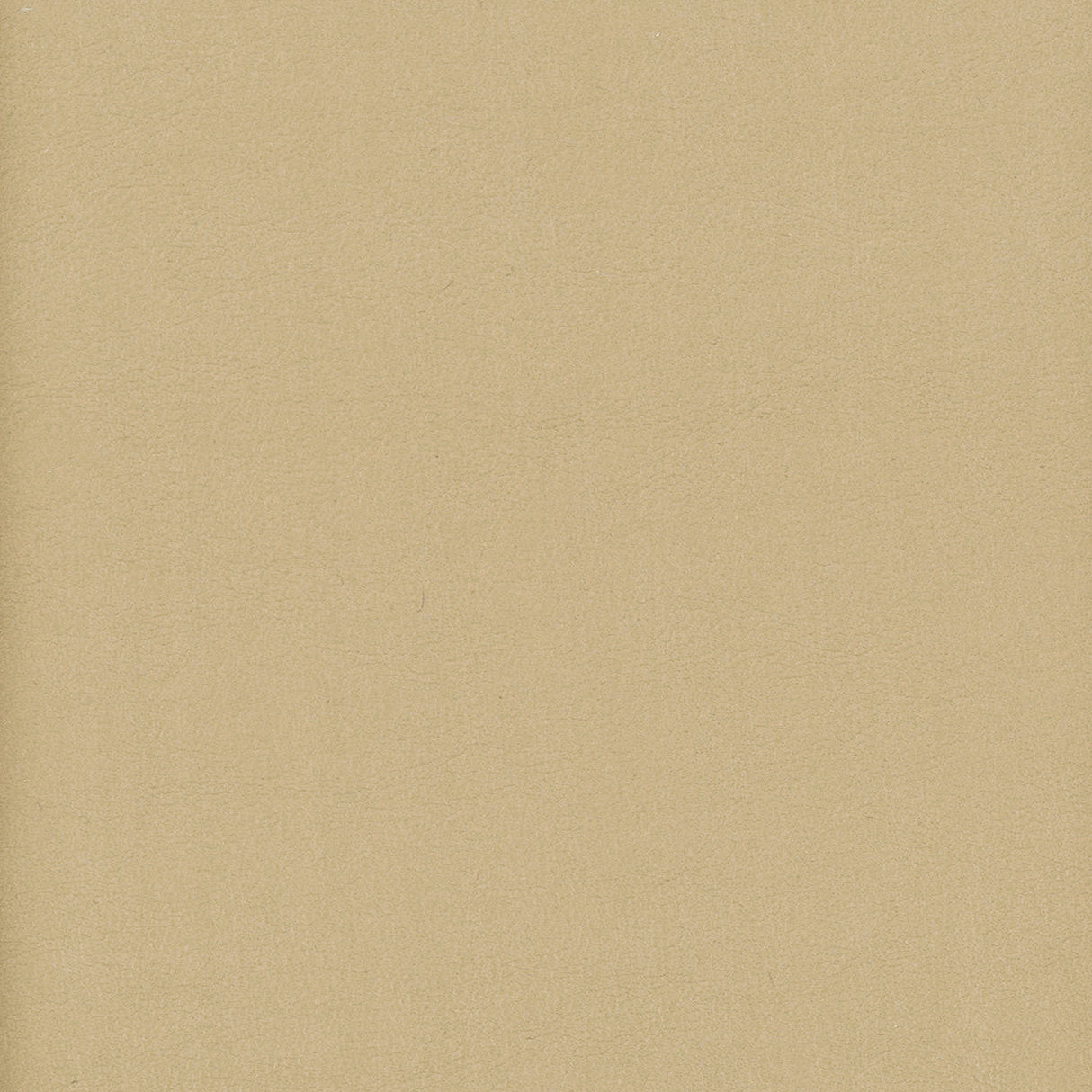 Eade's ELBE-12-sample JUTE