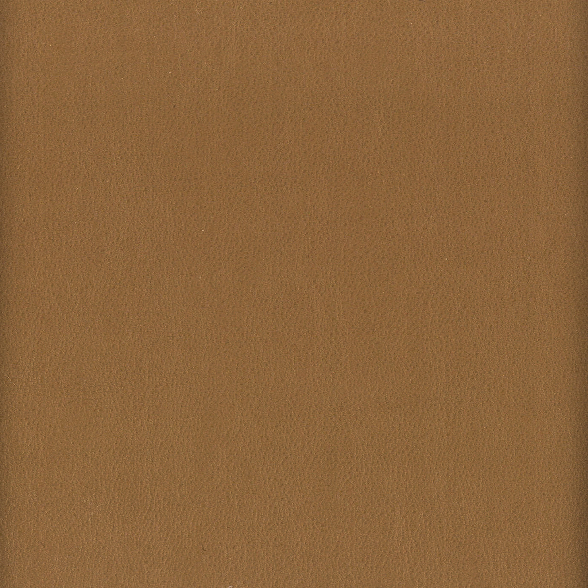 Eade's ELBE-3-sample NUT