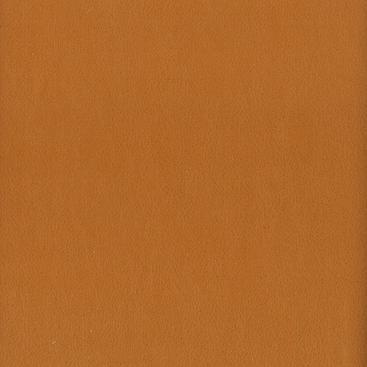 Eade's ELBE-8-sample CASHEW