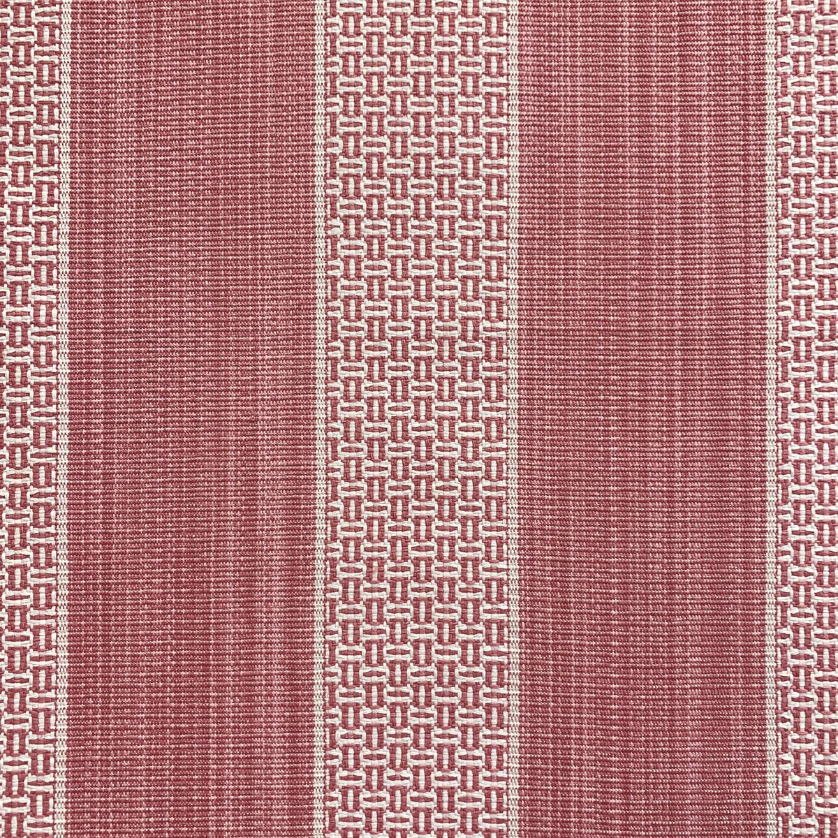 Eade’s ELLIS PEONY PEONY