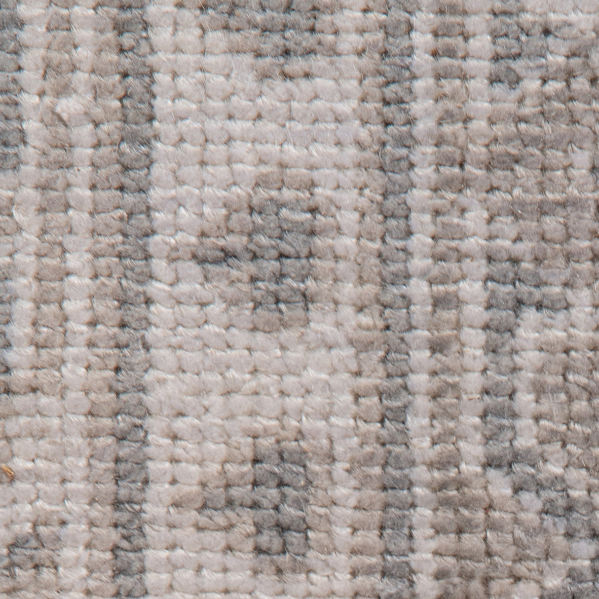 Amer Rugs EMP-5 Empress Classic Bordered /Brown Area Rug