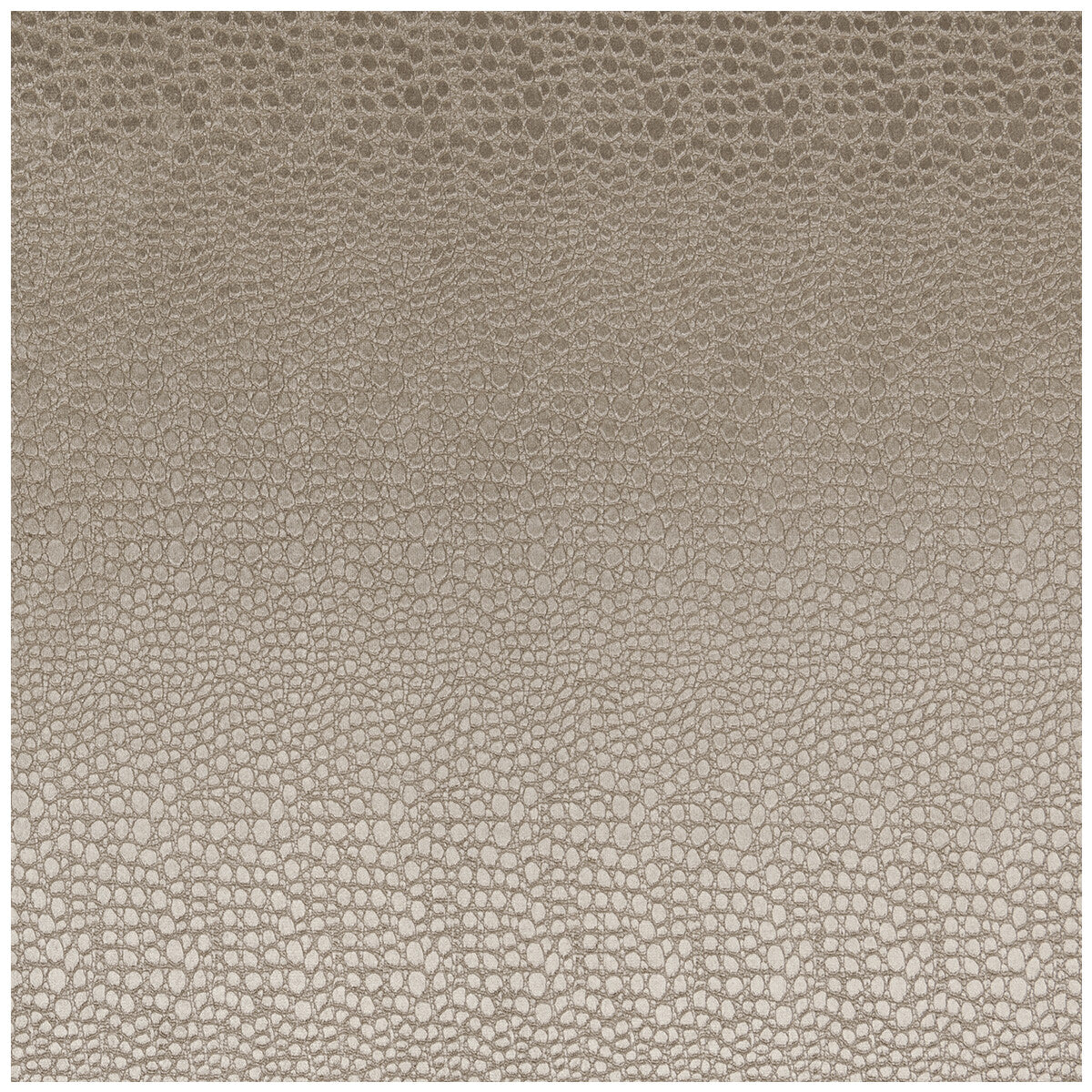 CLARKE AND CLARKE F0469/02.CAC.0 PULSE ASH Fabric - Eade's Wallpaper