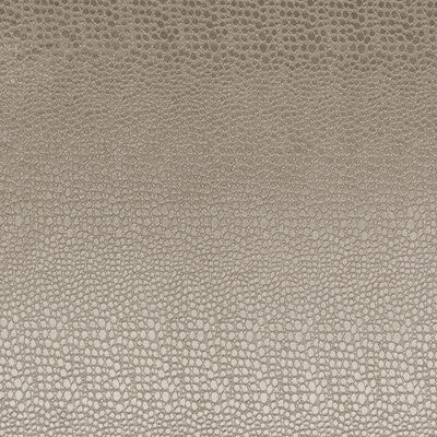 CLARKE AND CLARKE F0469/02.CAC.0 PULSE ASH Fabric - Eade's Wallpaper