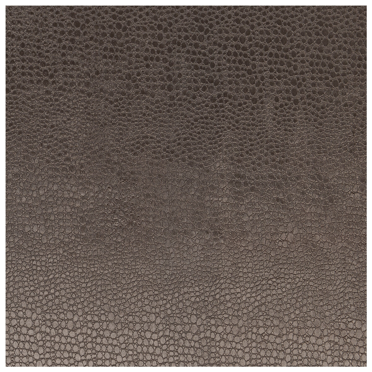 CLARKE AND CLARKE F0469/03.CAC.0 PULSE CHARCOAL Fabric - Eade's Wallpaper