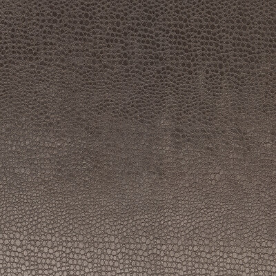 CLARKE AND CLARKE F0469/03.CAC.0 PULSE CHARCOAL Fabric - Eade's Wallpaper