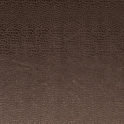 CLARKE AND CLARKE F0469/07.CAC.0 PULSE ESPRESSO Fabric - Eade's Wallpaper