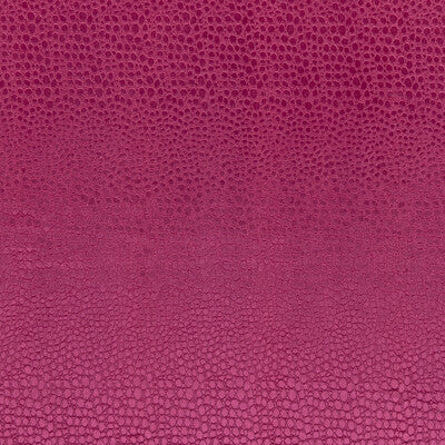 CLARKE AND CLARKE F0469/14.CAC.0 PULSE SORBET Fabric - Eade's Wallpaper