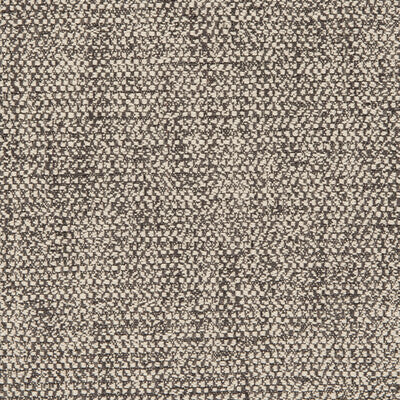 CLARKE AND CLARKE F0581/01.CAC.0 ANGUS CHARCOAL Fabric - Eade's Wallpaper