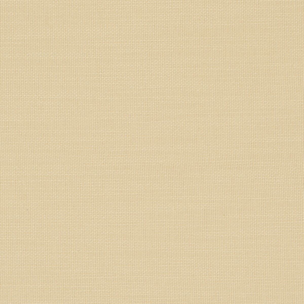 CLARKE AND CLARKE F0594/03.CAC.0 NANTUCKET BUTTER Fabric - Eade's Wallpaper