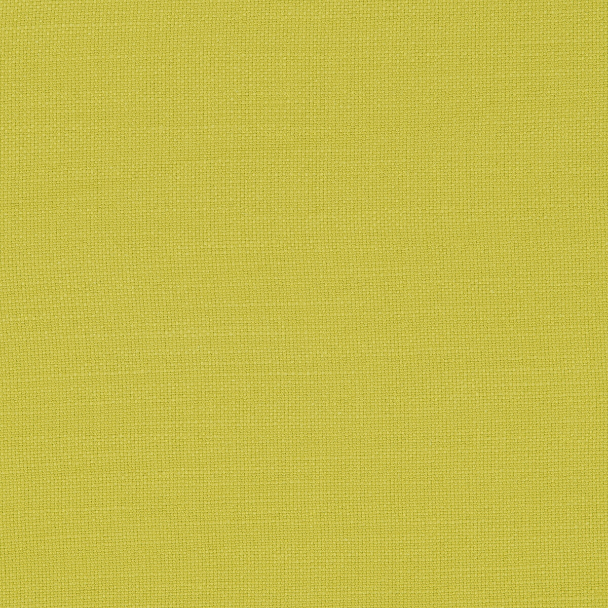 CLARKE AND CLARKE F0594/04.CAC.0 NANTUCKET CELERY Fabric - Eade's Wallpaper