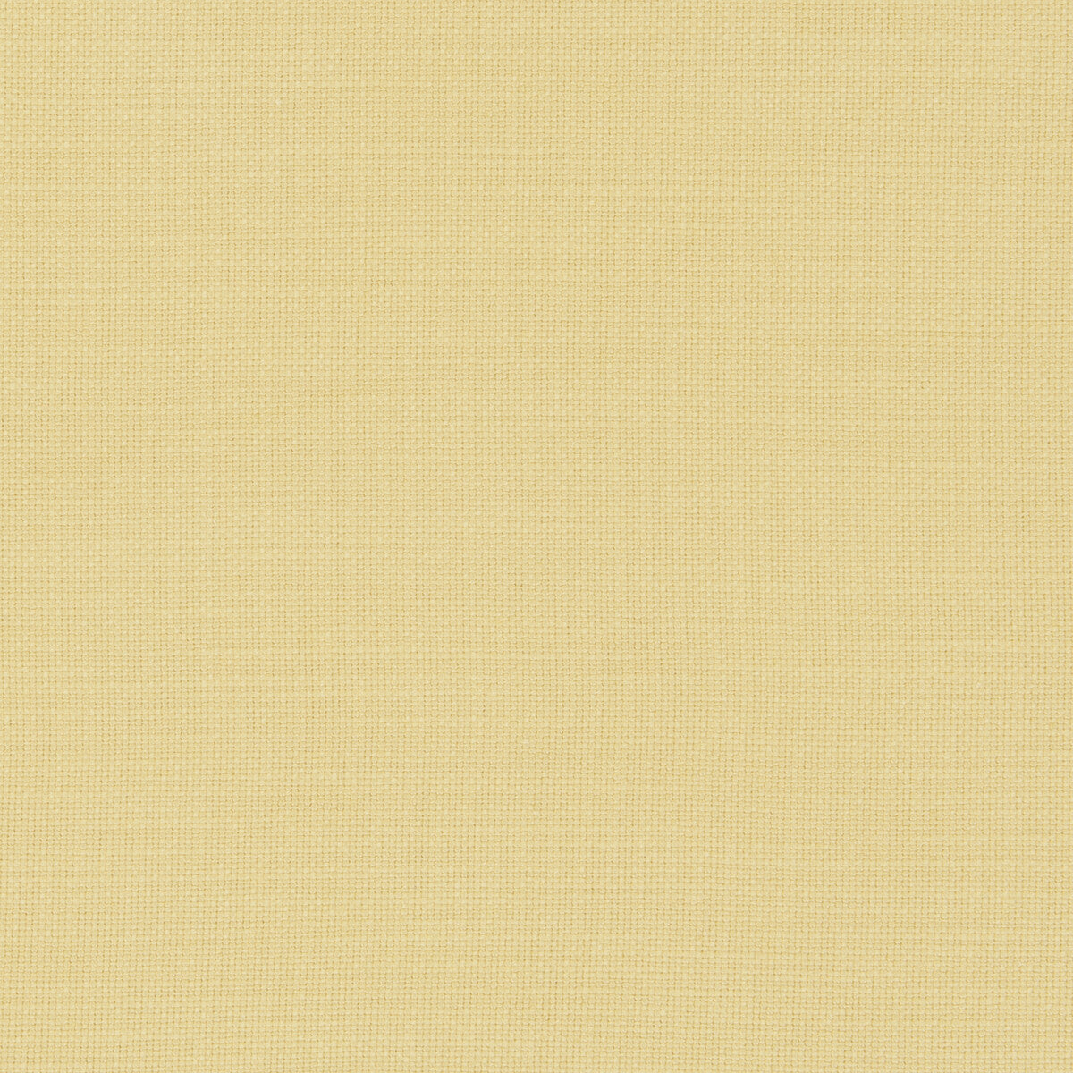 CLARKE AND CLARKE F0594/12.CAC.0 NANTUCKET CORN Fabric - Eade's Wallpaper