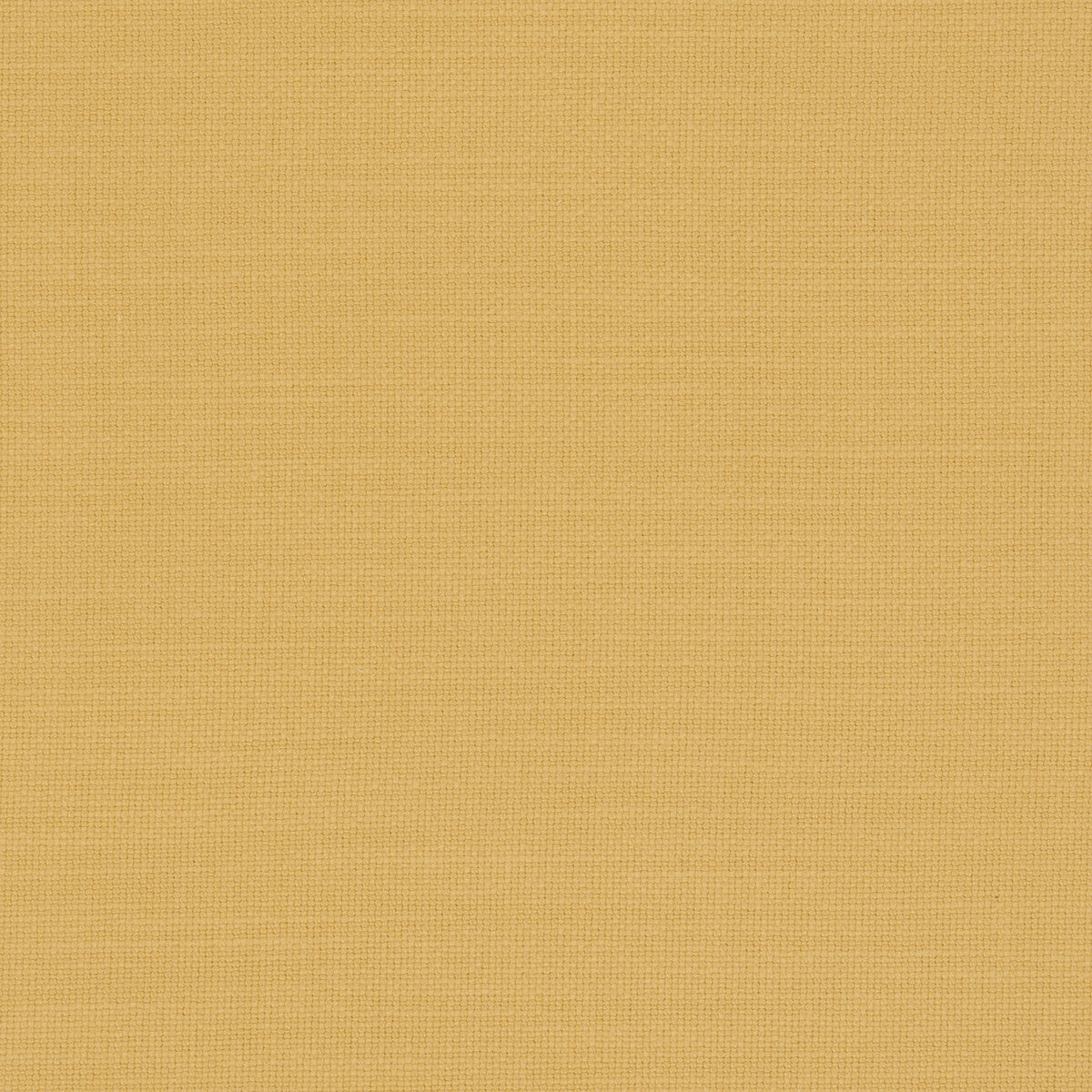 CLARKE AND CLARKE F0594/53.CAC.0 NANTUCKET SUNFLOWER Fabric - Eade's Wallpaper