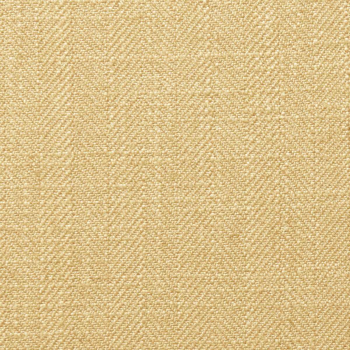 CLARKE AND CLARKE F0648/17.CAC.0 HENLEY HONEY Fabric - Eade's Wallpaper