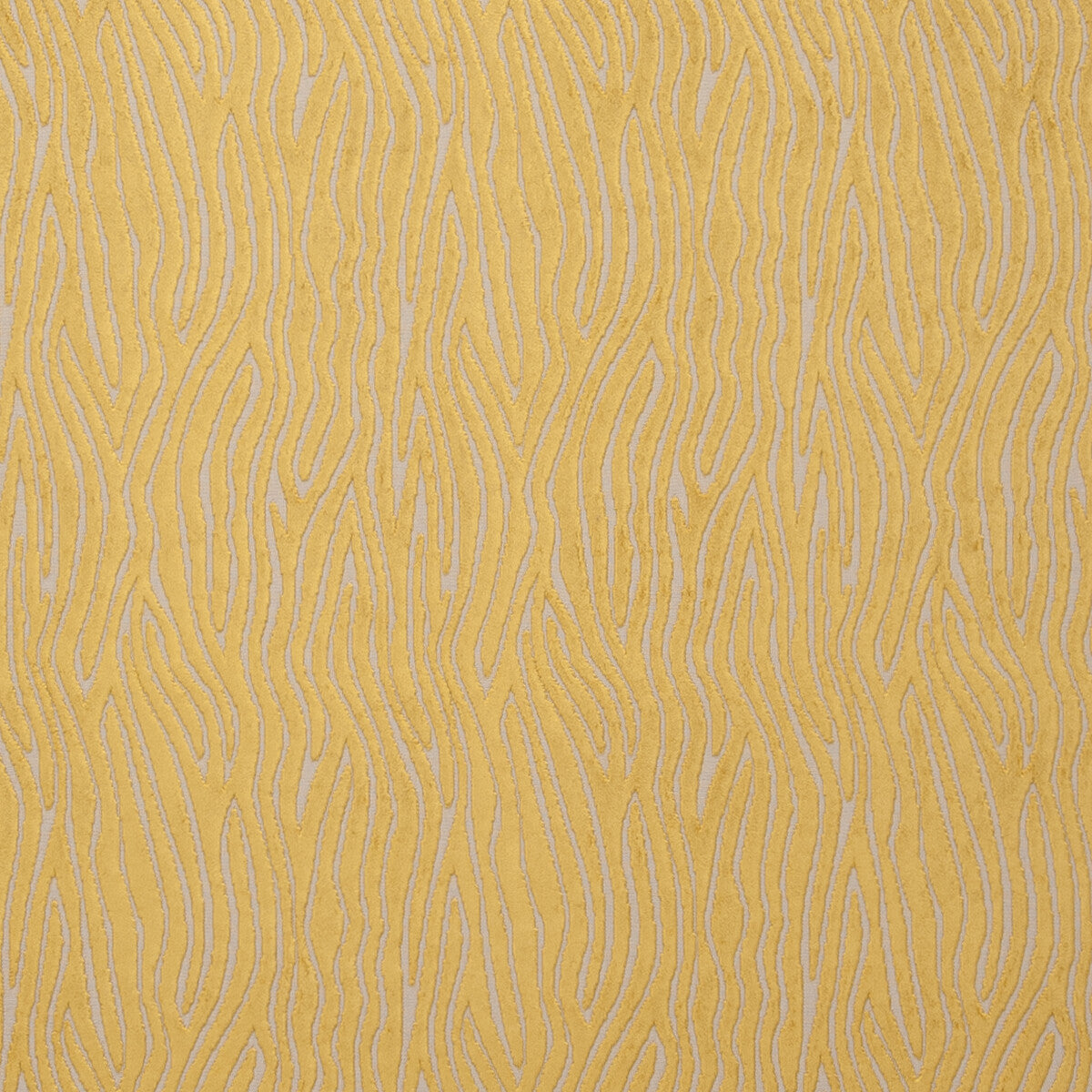 CLARKE AND CLARKE F0749/07.CAC.0 ONDA GOLD Fabric - Eade's Wallpaper