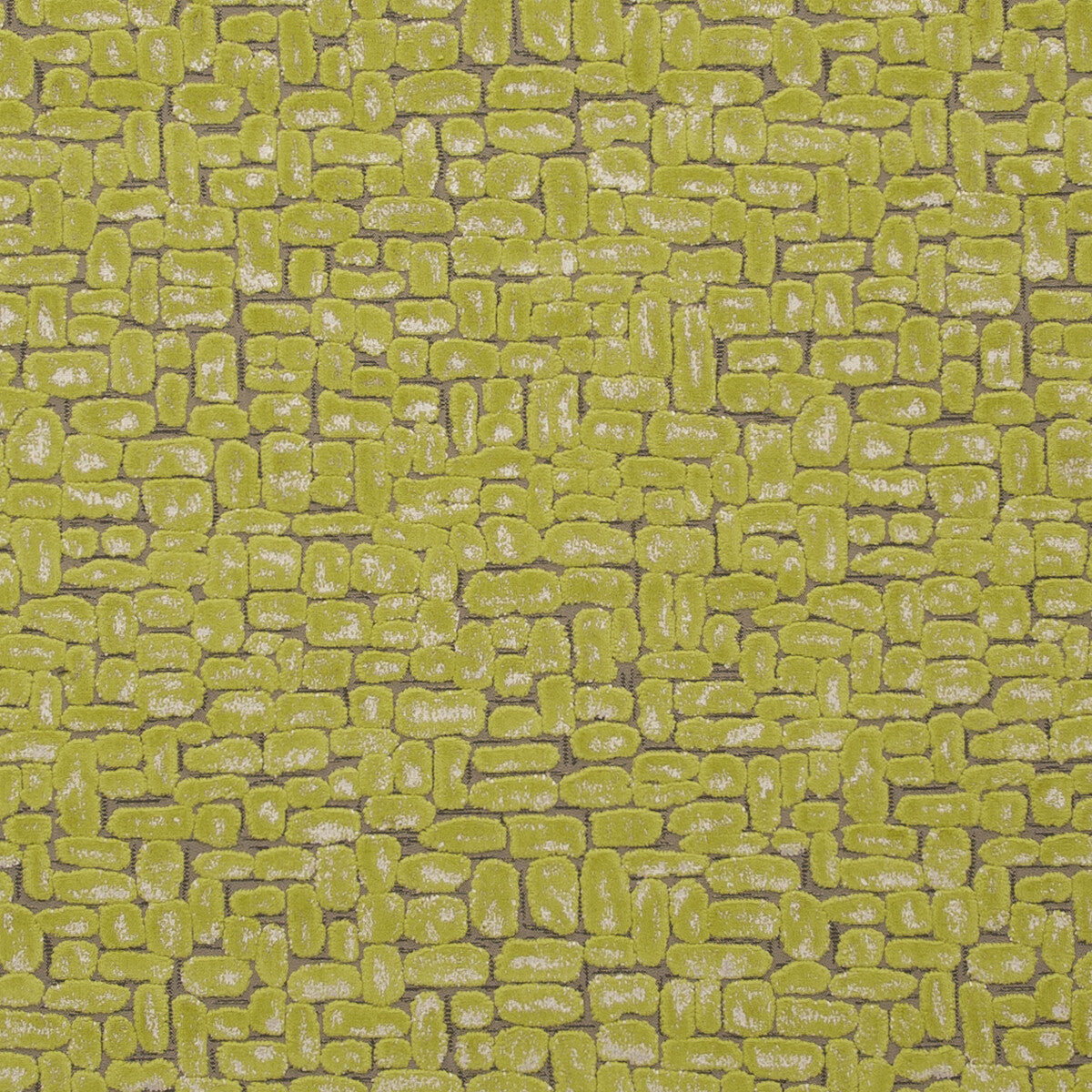 CLARKE AND CLARKE F0752/03.CAC.0 MODA CITRUS Fabric - Eade's Wallpaper