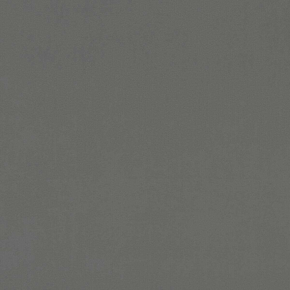 CLARKE AND CLARKE F0753/23.CAC.0 ALVAR ASH Fabric - Eade's Wallpaper