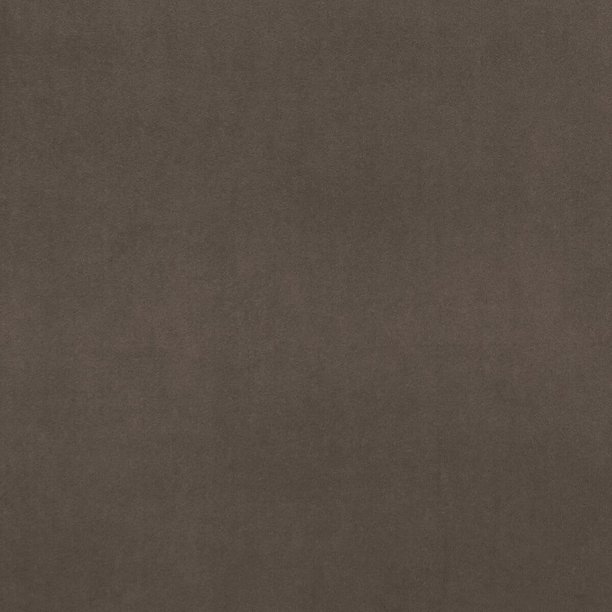 CLARKE AND CLARKE F0753/25.CAC.0 ALVAR BEAVER Fabric - Eade's Wallpaper