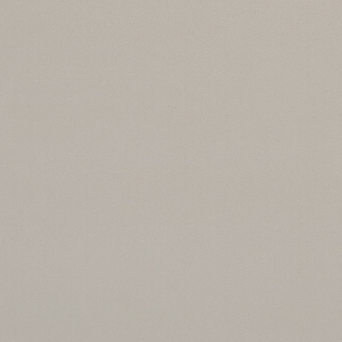 CLARKE AND CLARKE F0753/26.CAC.0 ALVAR BIRCH Fabric - Eade's Wallpaper