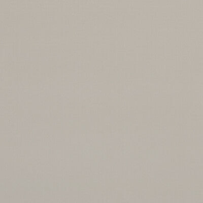 CLARKE AND CLARKE F0753/26.CAC.0 ALVAR BIRCH Fabric - Eade's Wallpaper