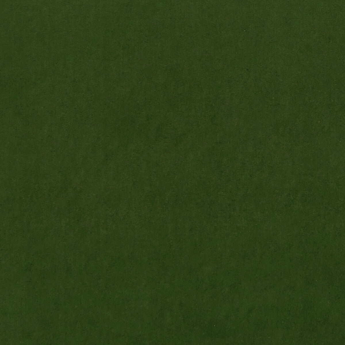 CLARKE AND CLARKE F0753/31.CAC.0 ALVAR CHIVE Fabric - Eade's Wallpaper