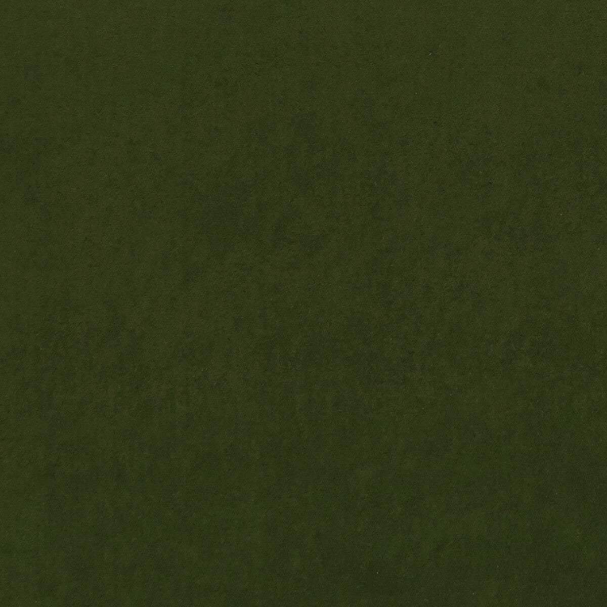 CLARKE AND CLARKE F0753/40.CAC.0 ALVAR HERB Fabric - Eade's Wallpaper