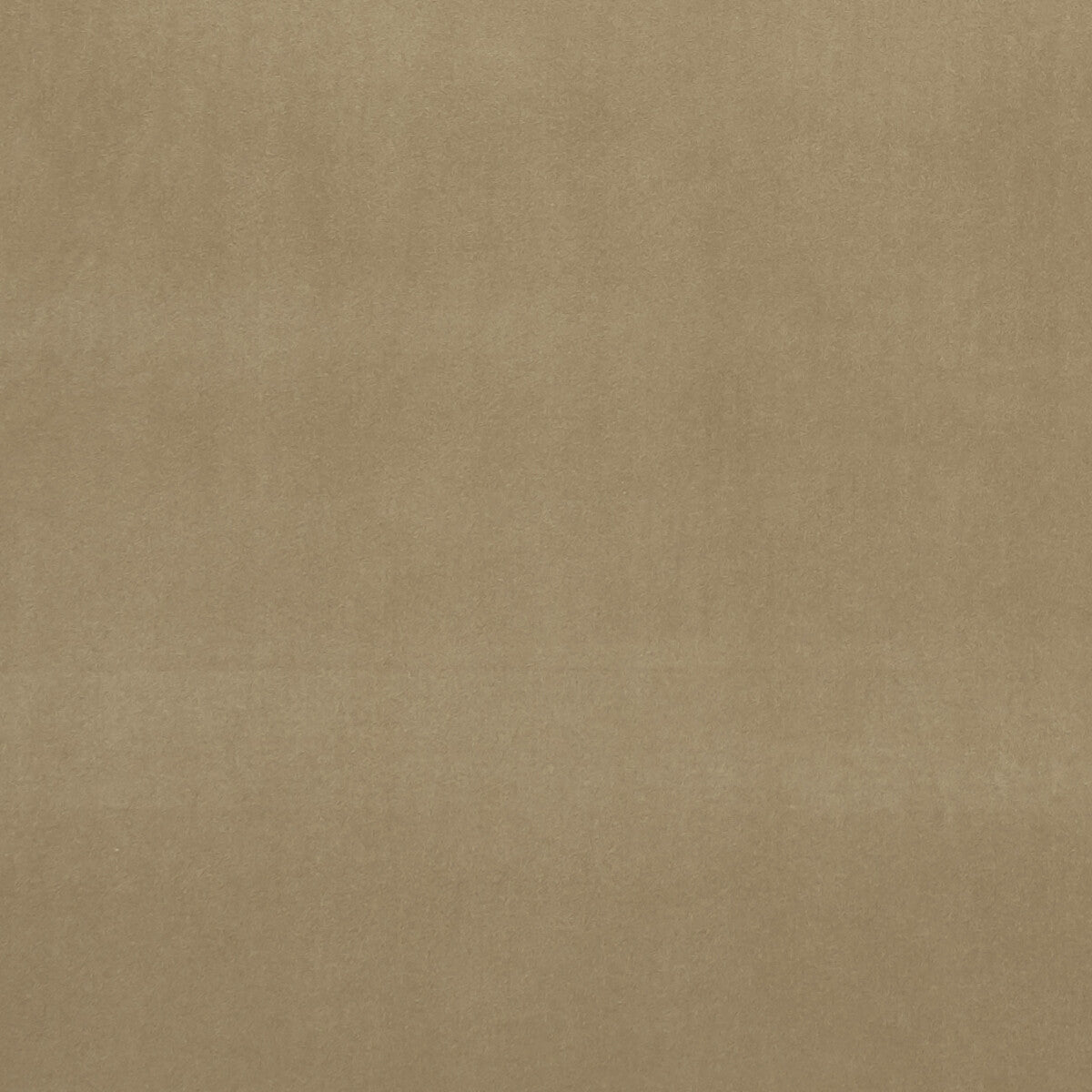 CLARKE AND CLARKE F0753/41.CAC.0 ALVAR LARK Fabric - Eade's Wallpaper