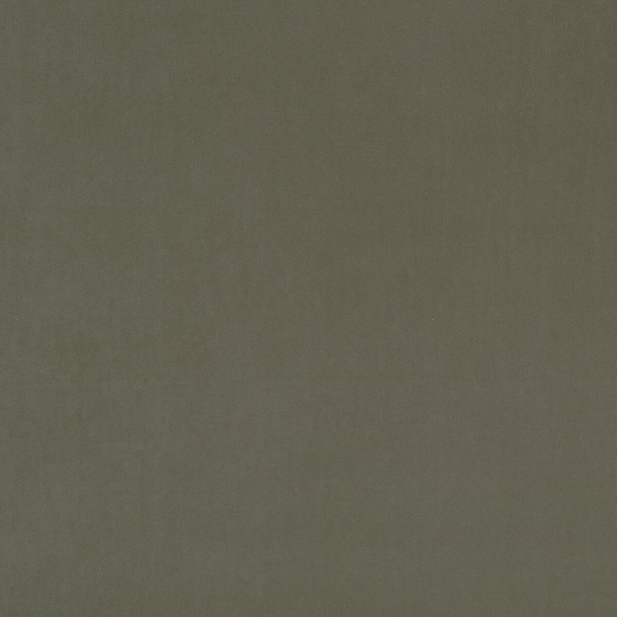 CLARKE AND CLARKE F0753/46.CAC.0 ALVAR SAGE Fabric - Eade's Wallpaper