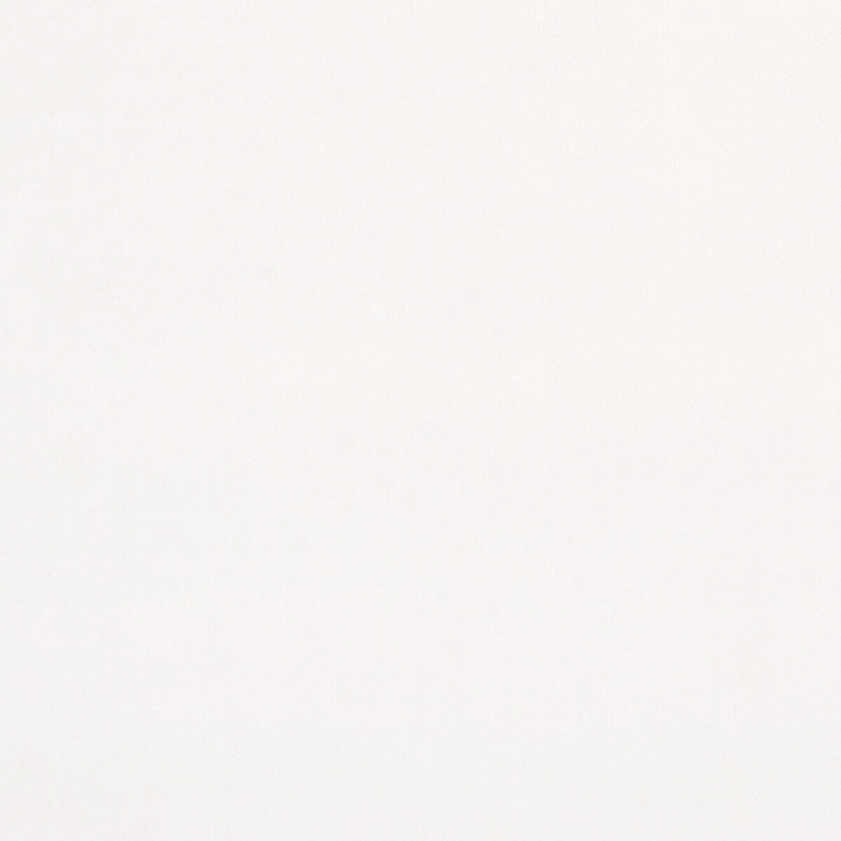 CLARKE AND CLARKE F0753/47.CAC.0 ALVAR SNOW Fabric - Eade's Wallpaper