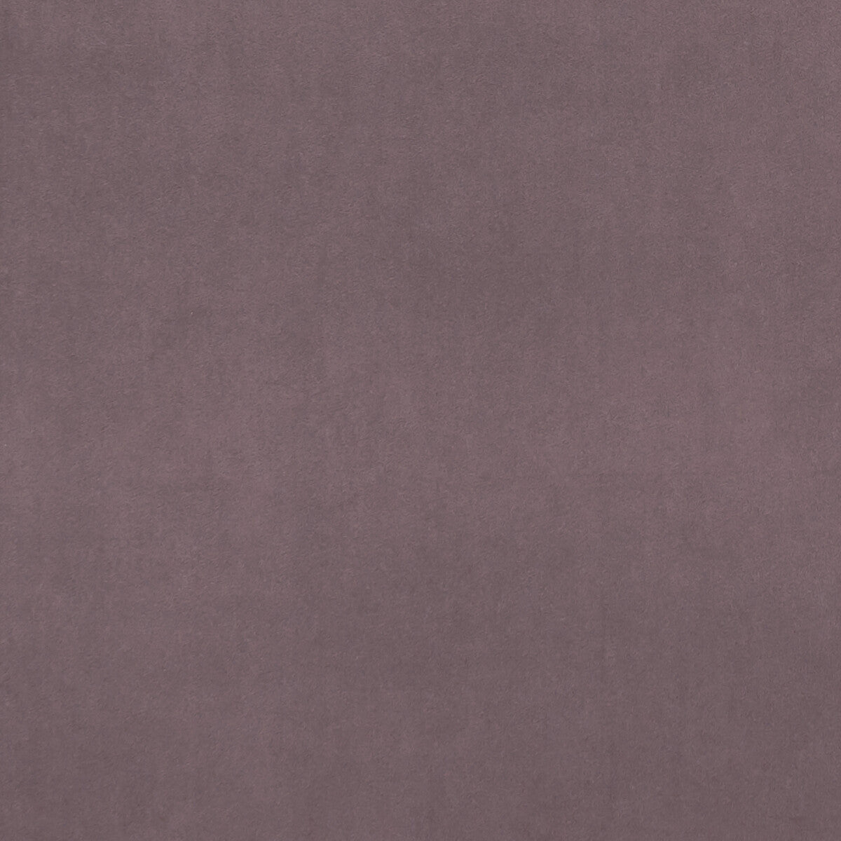 CLARKE AND CLARKE F0753/50.CAC.0 ALVAR AMETHYST Fabric - Eade's Wallpaper