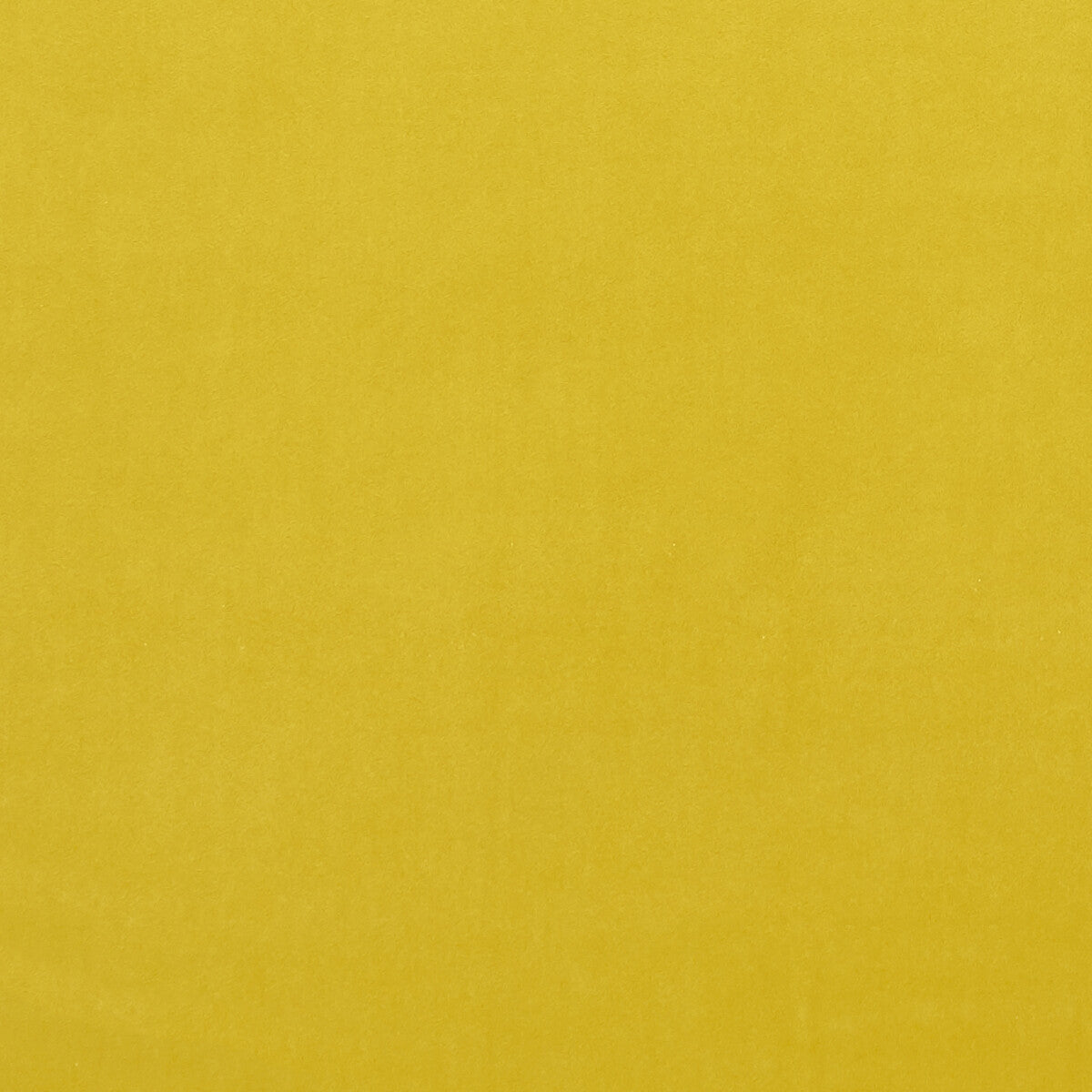 CLARKE AND CLARKE F0753/56.CAC.0 ALVAR CHARTREUSE Fabric - Eade's Wallpaper