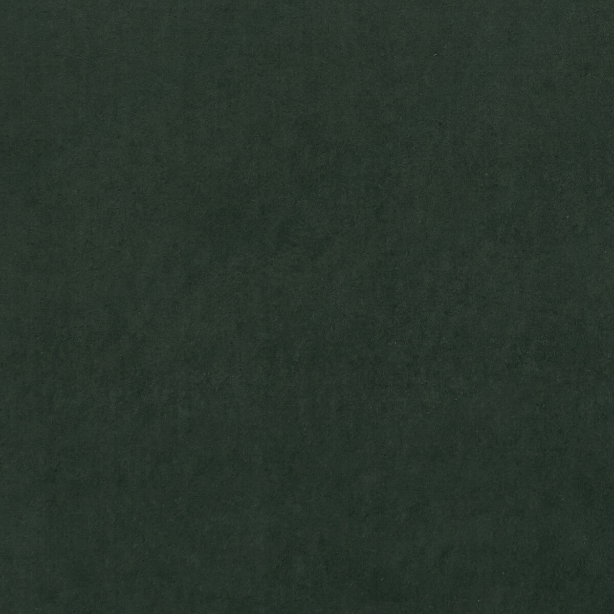 CLARKE AND CLARKE F0753/65.CAC.0 ALVAR FOREST Fabric - Eade's Wallpaper