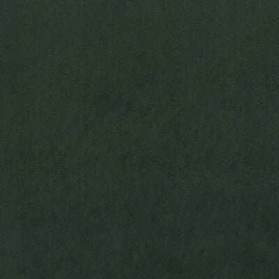 CLARKE AND CLARKE F0753/65.CAC.0 ALVAR FOREST Fabric - Eade's Wallpaper