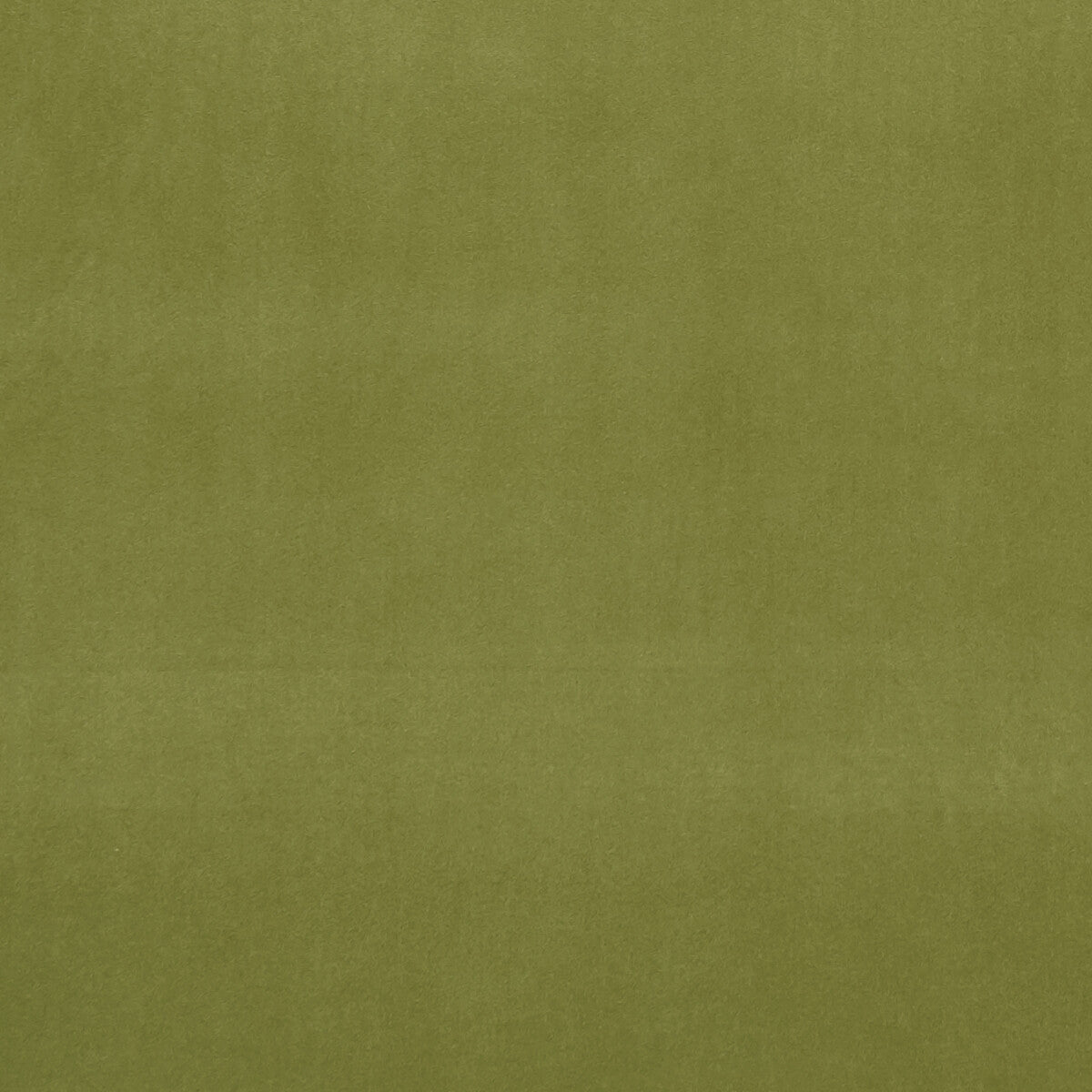 CLARKE AND CLARKE F0753/77.CAC.0 ALVAR LEAF Fabric - Eade's Wallpaper