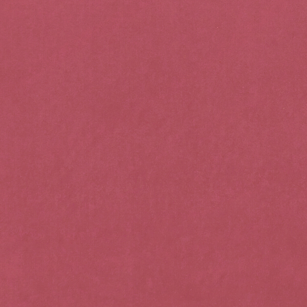 CLARKE AND CLARKE F0753/89.CAC.0 ALVAR PEONY Fabric - Eade's Wallpaper