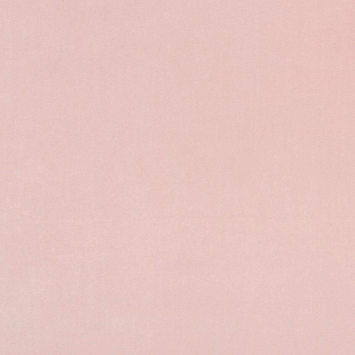 CLARKE AND CLARKE F0753/90.CAC.0 ALVAR PETAL Fabric - Eade's Wallpaper