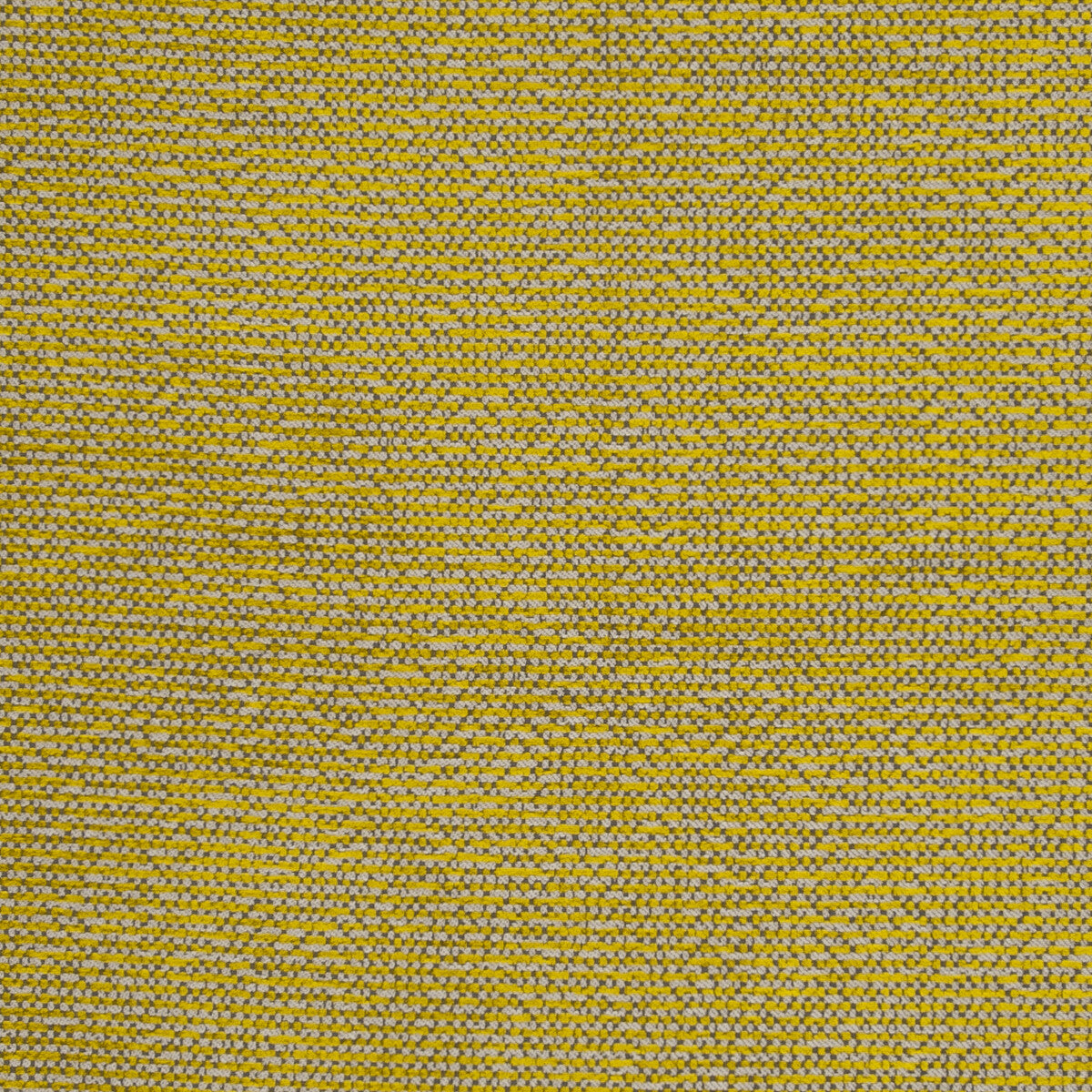 CLARKE AND CLARKE F0804/02.CAC.0 BEAUVOIR CITRUS Fabric - Eade's Wallpaper