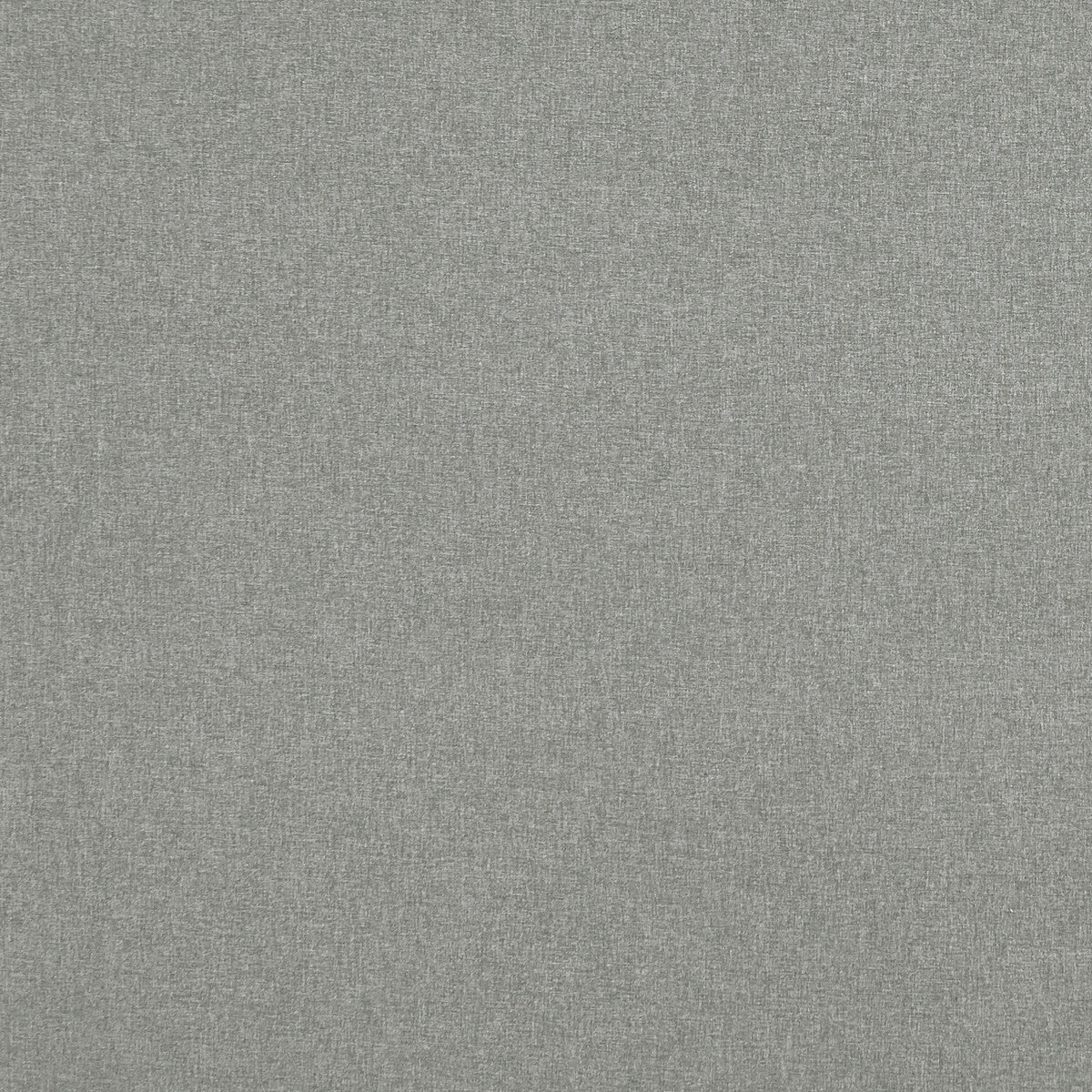CLARKE AND CLARKE F0848/01.CAC.0 HIGHLANDER ASH Fabric - Eade's Wallpaper