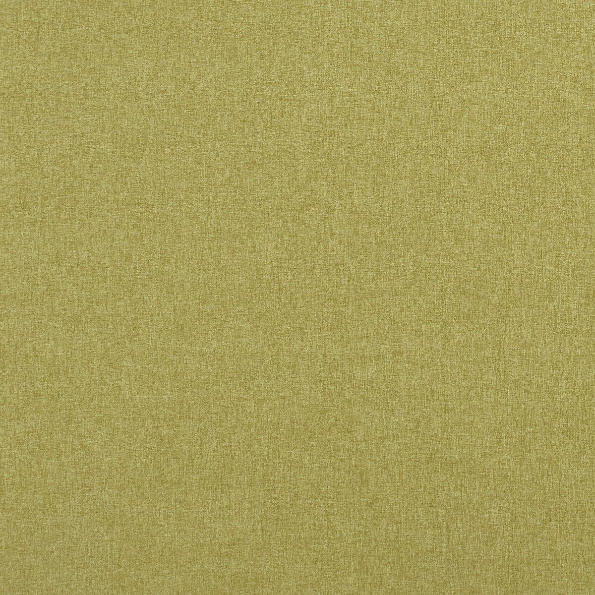 CLARKE AND CLARKE F0848/12.CAC.0 HIGHLANDER FERN Fabric - Eade's Wallpaper